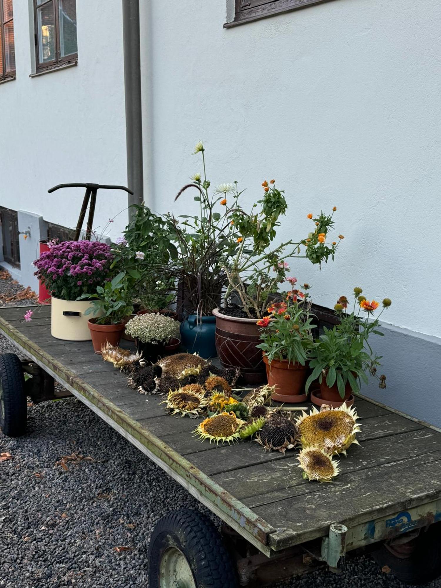 Stf Landskrona Hostel Landskrone Exterior photo